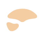 Pigmentation